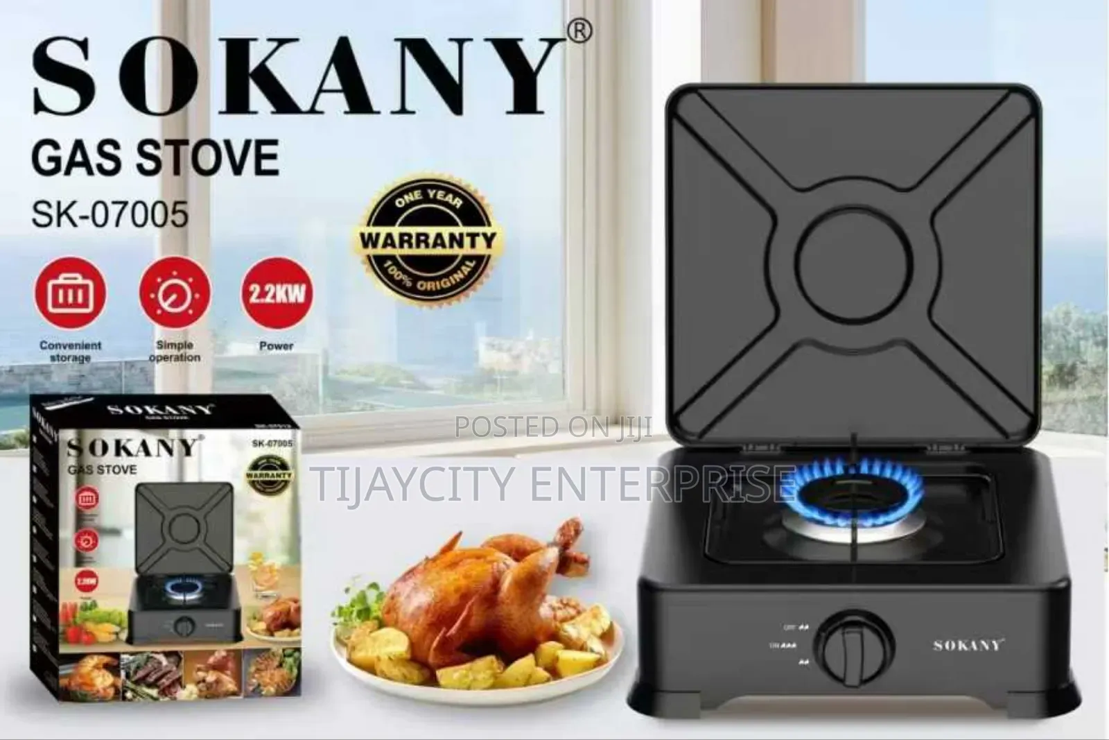 Portable Gas Stove