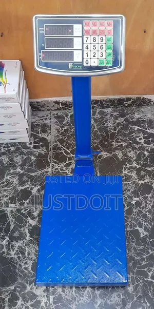 300 Kg Digital Rechargeable Platform Scale.