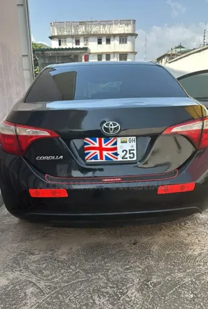 Rent a Car