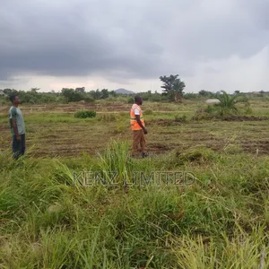 Industrial And Commercial Land