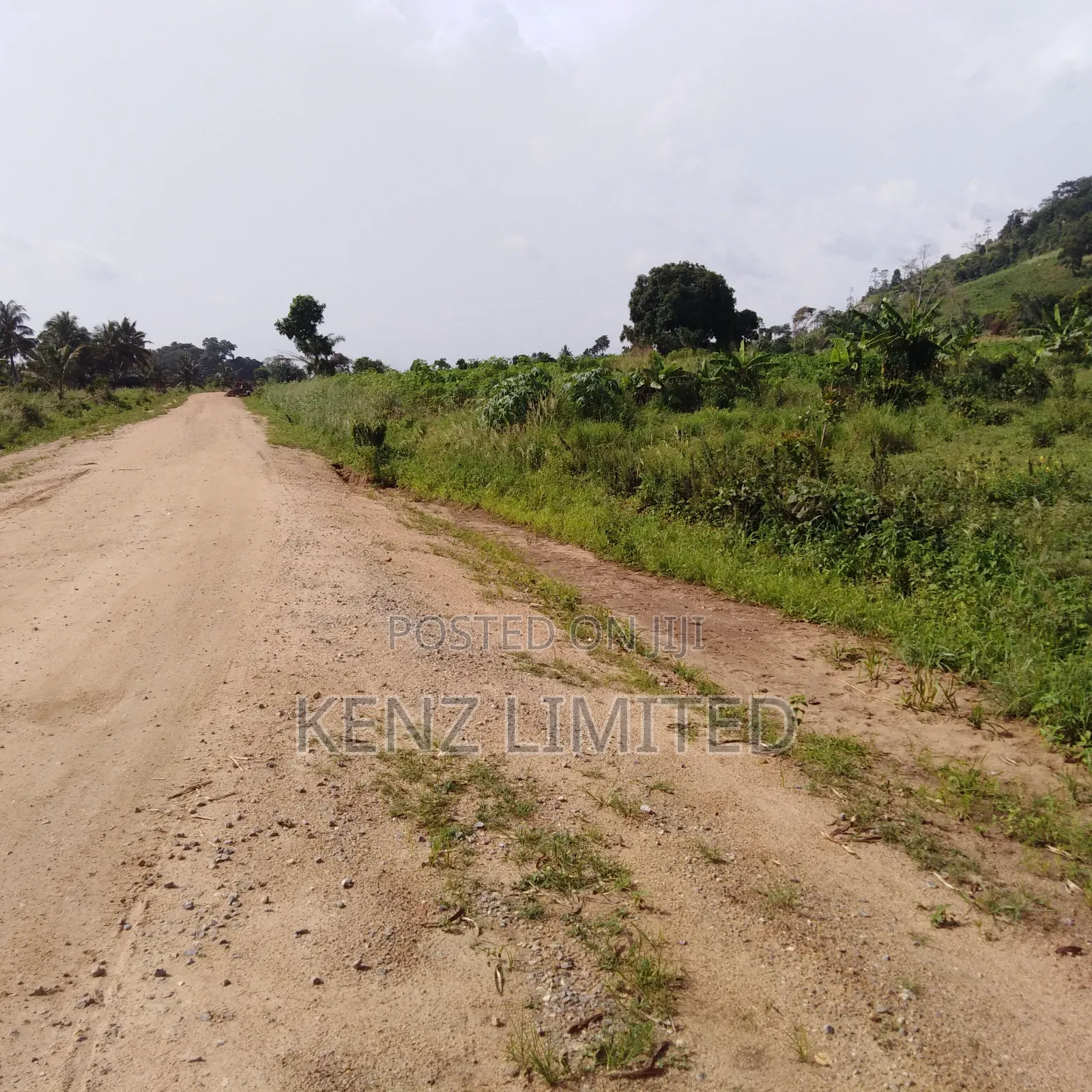 Industrial And Commercial Land