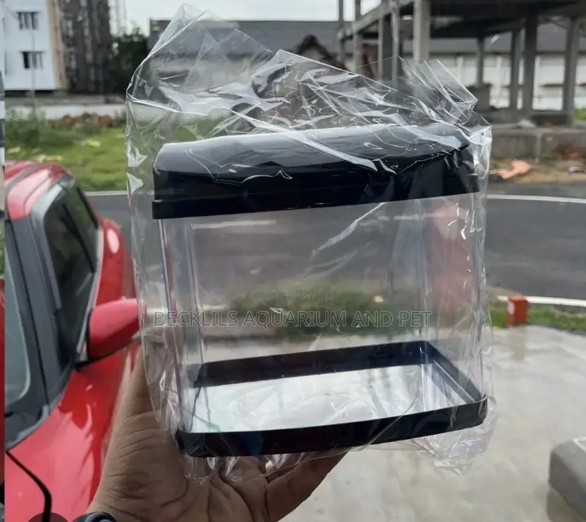 Mini Aquarium Tank