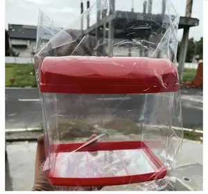 Mini Aquarium Tank