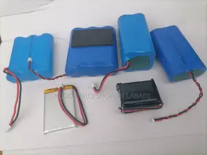 Lithium Dry Doll Camera