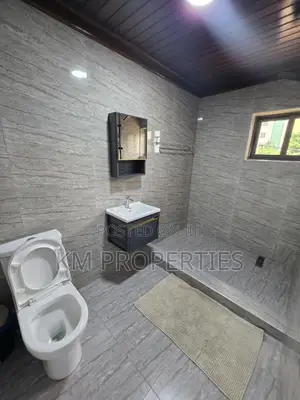 Furnished Studio Apt. In Dzorwulu Central