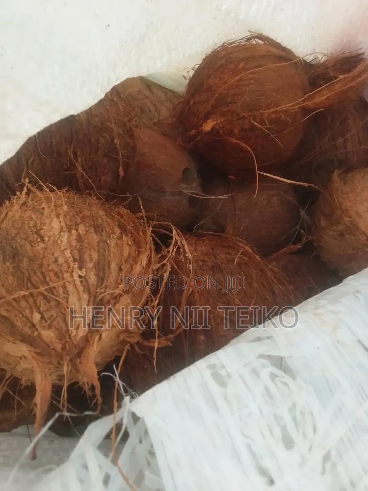 Coconuts for Oil Copra Production (Bulk Supply)