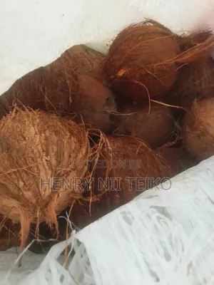 Coconuts for Oil Copra Production (Bulk Supply)