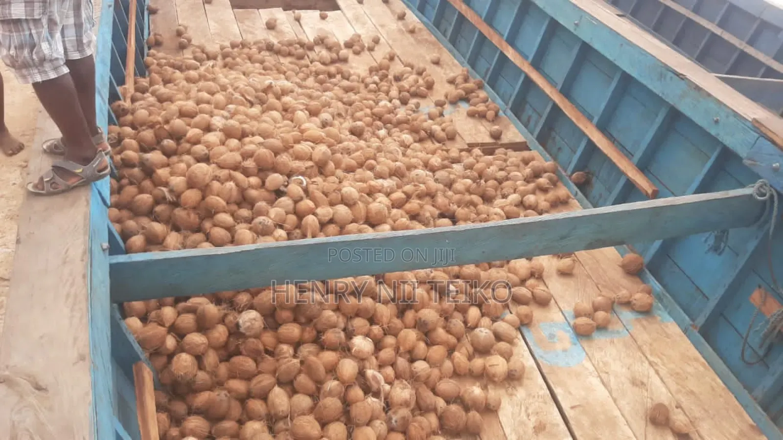 Coconuts for Oil Copra Production (Bulk Supply)