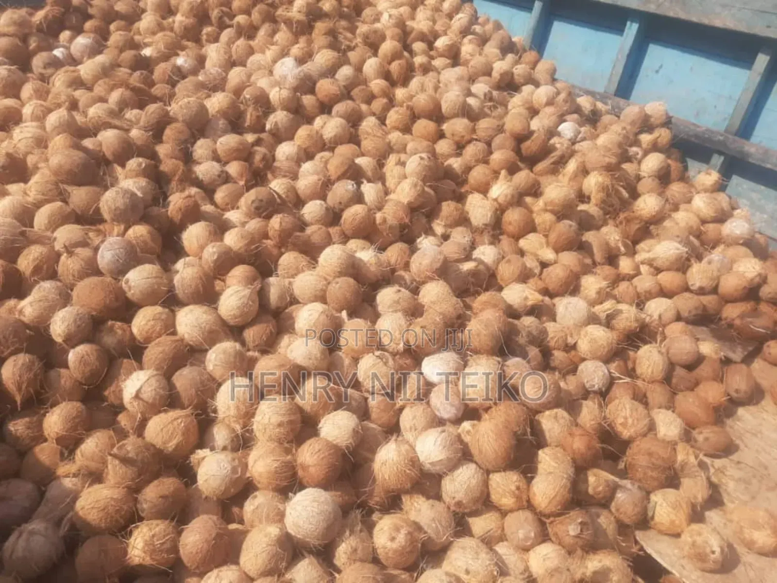 Coconuts for Oil Copra Production (Bulk Supply)