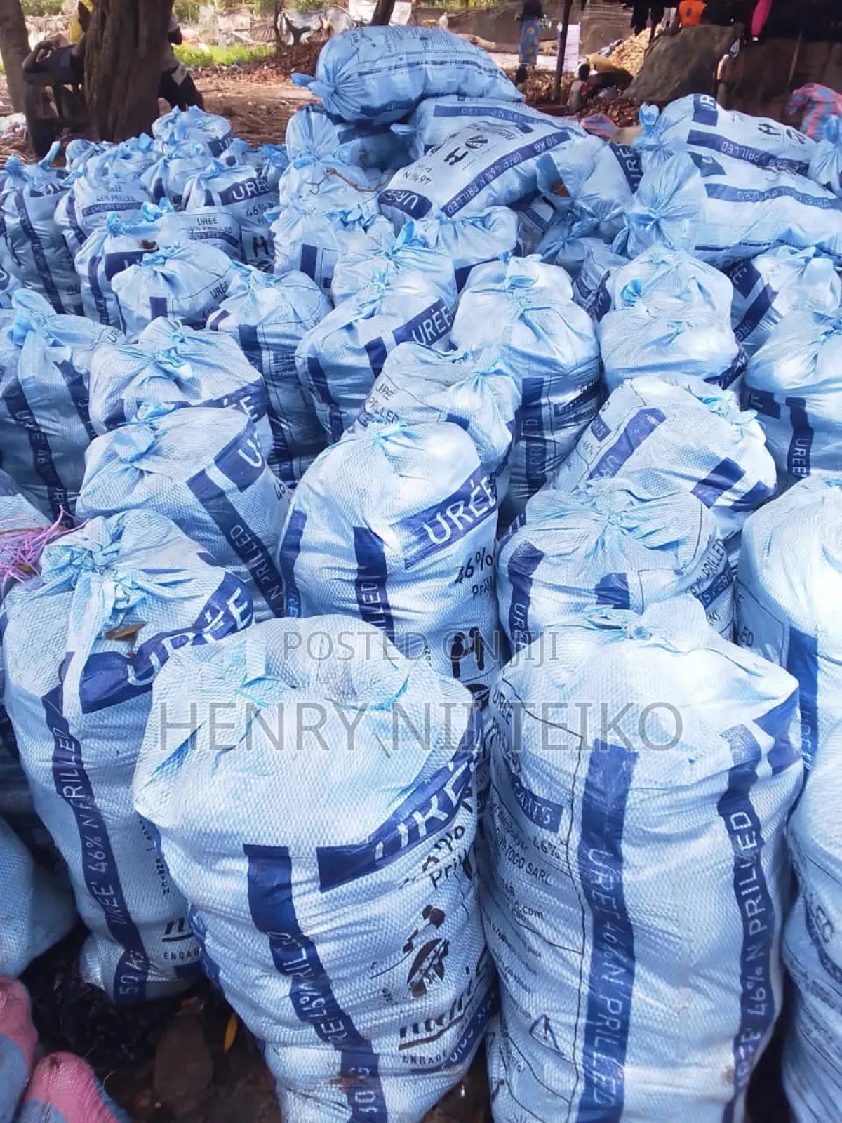 Coconuts for Oil Copra Production (Bulk Supply)
