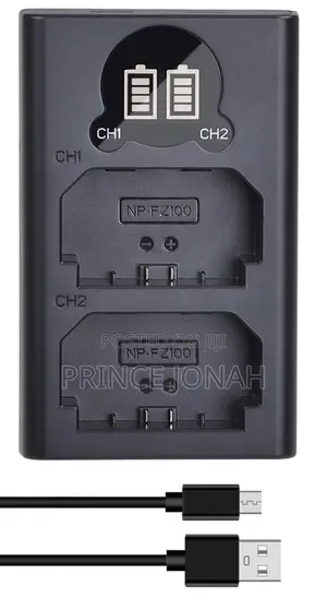 Batmax Sony Np-Fz100 Dual Charger