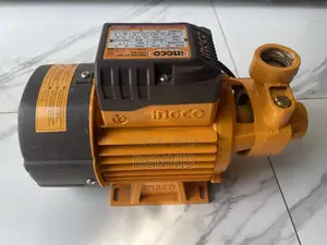 Ingco 1.0 HP Water Pump