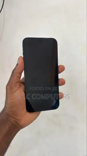 Apple iPhone 11 Pro Max 256 GB Blue