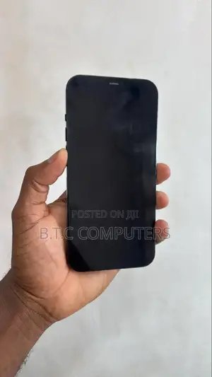 Apple iPhone 12 Pro Max 256 GB Blue