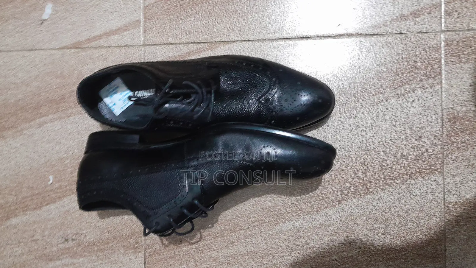 Black Shoe