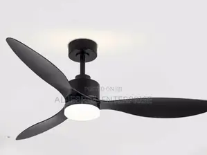 Black Ceiling Fan