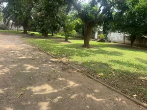 Acres(4) Plots of Land for Sale 
 Dzowulu
A