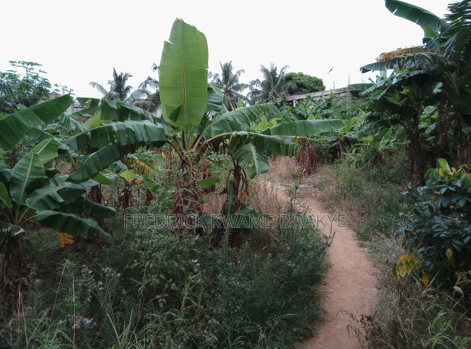 Plot of Land for Sale at Asuoyeboah Ipt