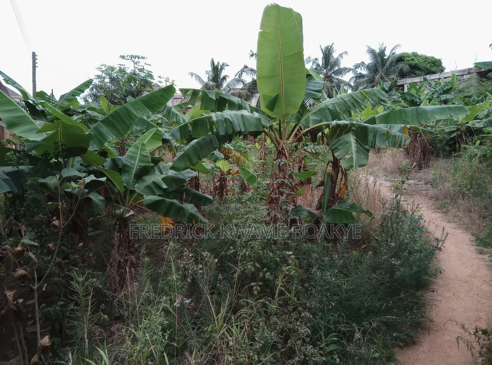 Plot of Land for Sale at Asuoyeboah Ipt