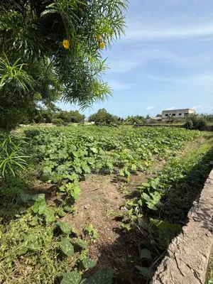 200 Acres of Prime Legon