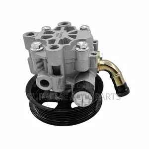 Mitsubishi Pajero 2005,2006,2007,2008,2009,2010,2011, Steering Pump
