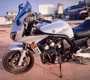 Yamaha FZ 2004 Gray