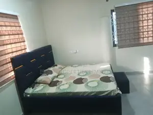 Furnished Studio Apartment in Vvilla Properties, Adam Nana for rent