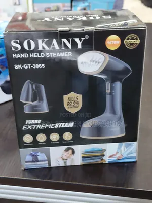 Electric Steam Iron