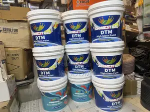 Shinestar DTM (High Gloss Paint