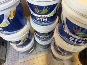 Shinestar DTM (High Gloss Paint