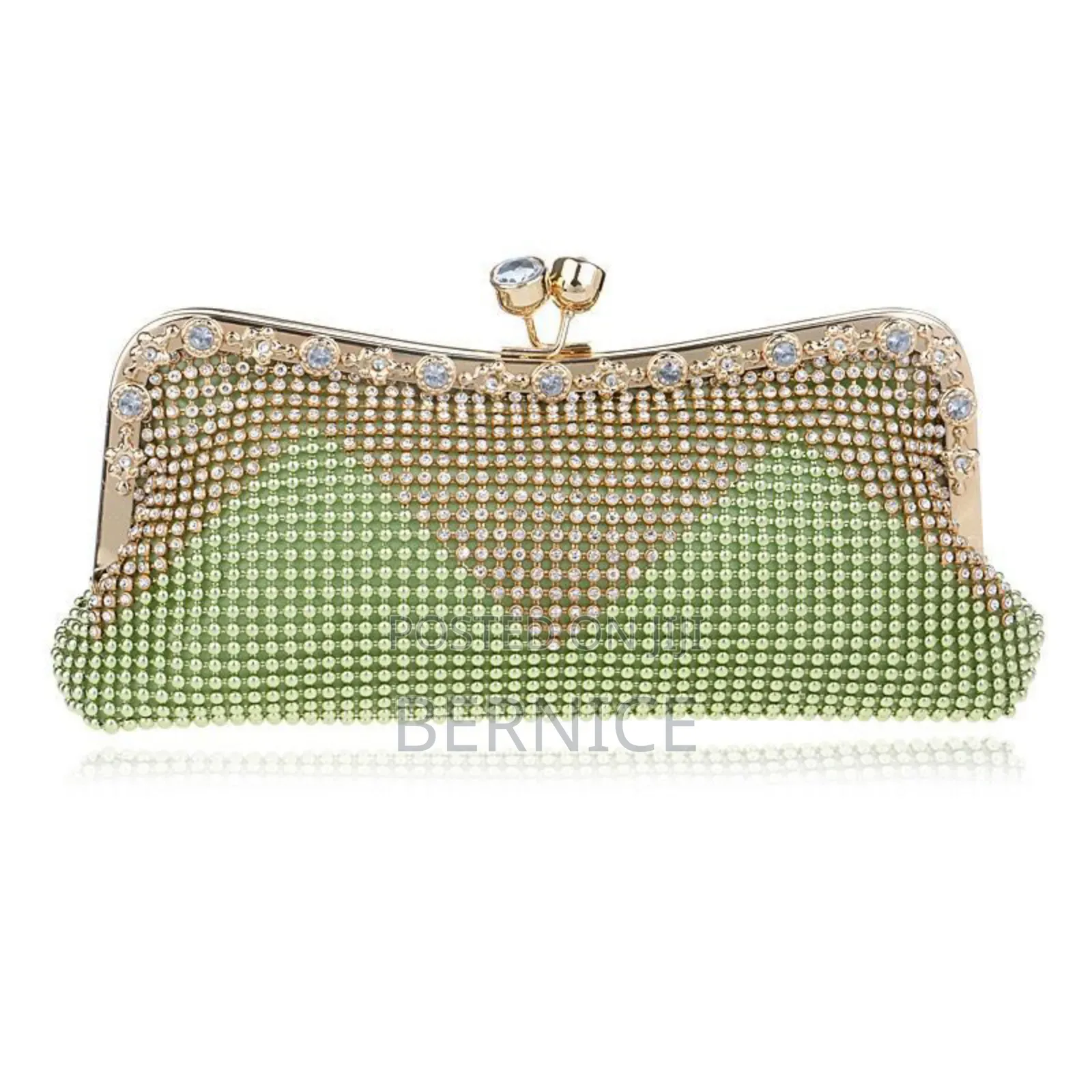 Luxury Beaded Clutch Bag