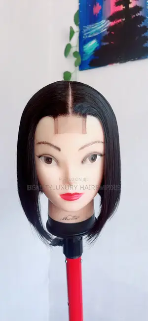 10 Inches Vietnamese Bone Straight 
2×6 Closure