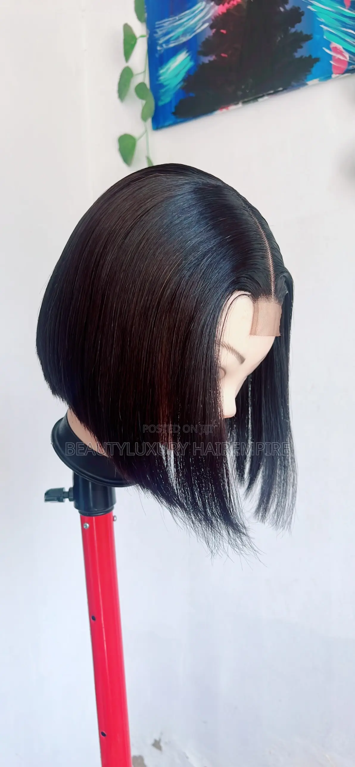 10 Inches Vietnamese Bone Straight 
2×6 Closure