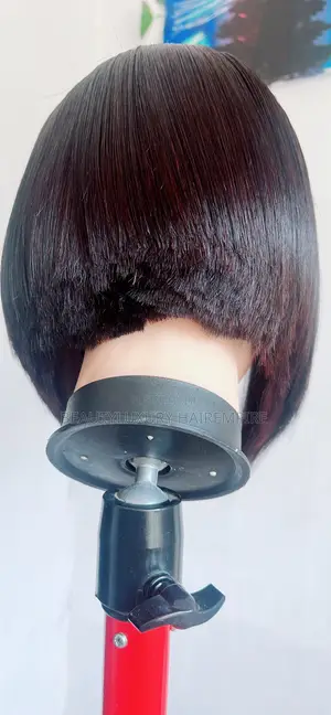 10 Inches Vietnamese Bone Straight 
2×6 Closure