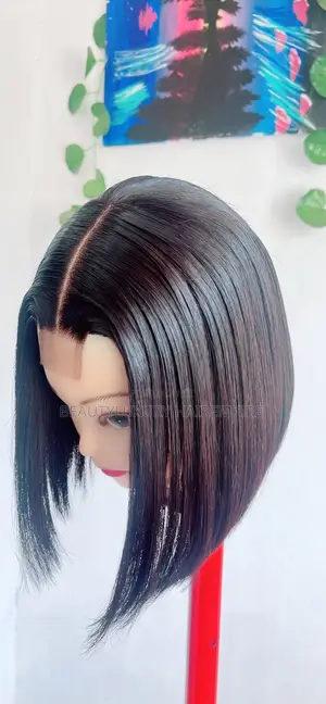 10 Inches Vietnamese Bone Straight 
2×6 Closure