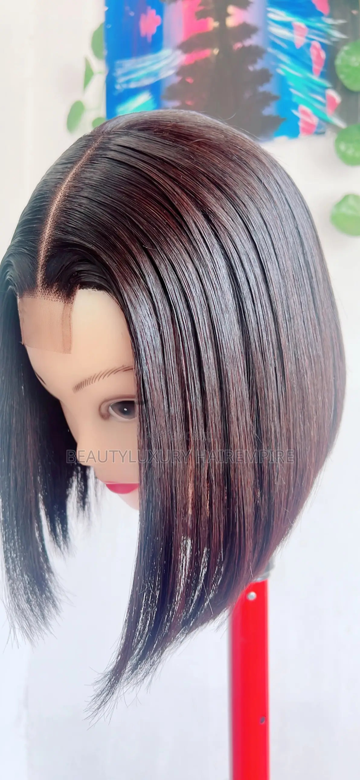 10 Inches Vietnamese Bone Straight 
2×6 Closure