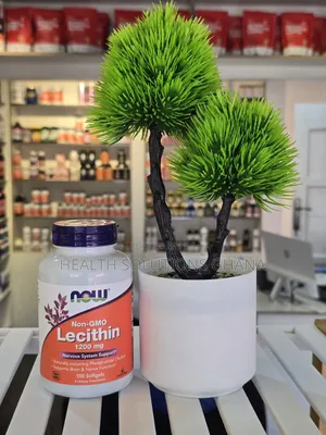 Now Lecithin 1200mg