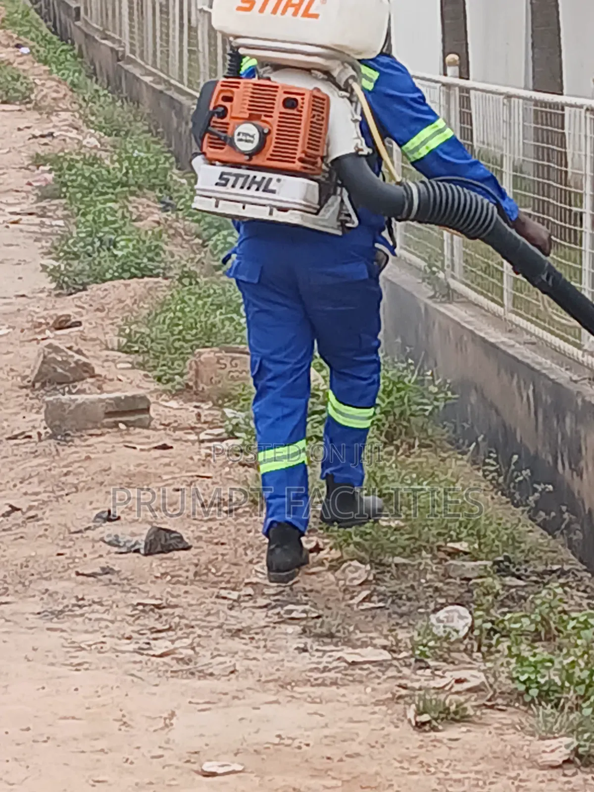 Fumigation Against Cockroaches