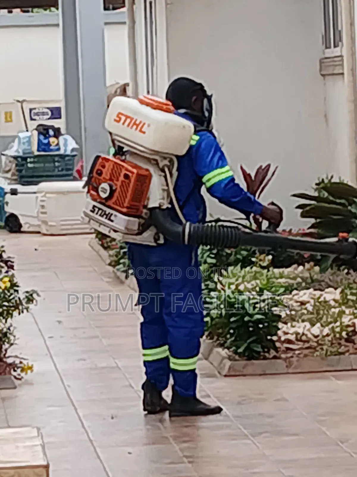 Fumigation Against Snakes