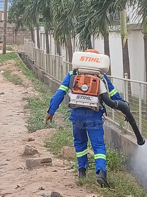 Fumigation Against Insects