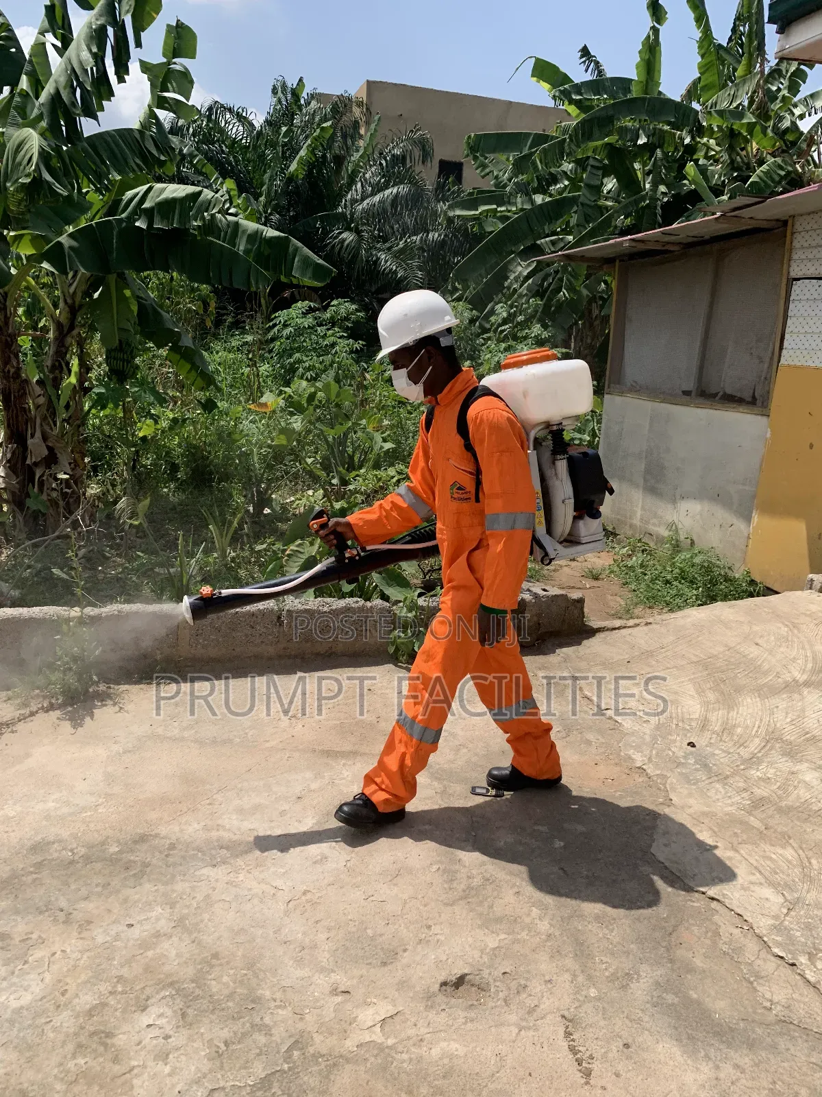 Fumigation Against Insects