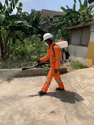 Fumigation Against Insects