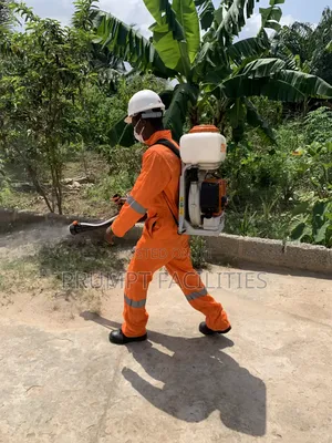 Fumigation Against Insects
