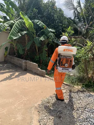 Bedbugs Fumigation