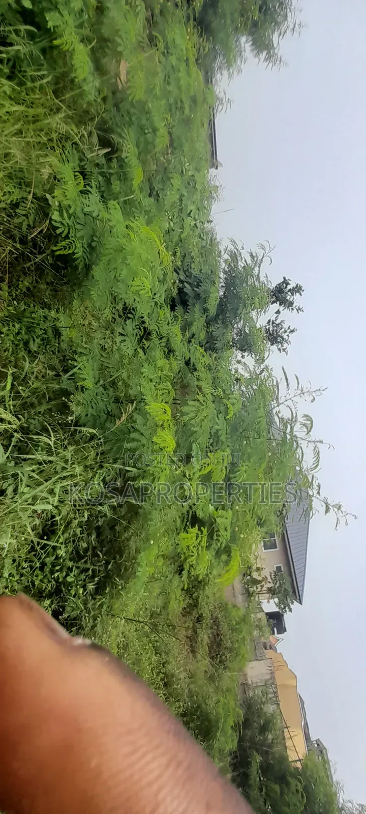 2plots at Adenta Frafraha for Sale