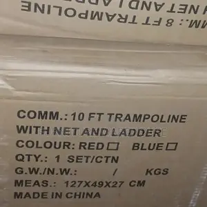 10 Ft Trampoline With Net and Ladder