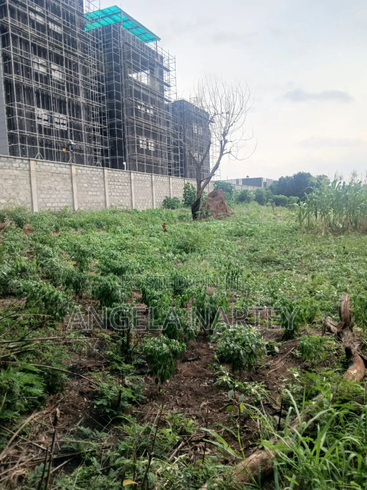 100 Acre Land Close to Legon for Sale