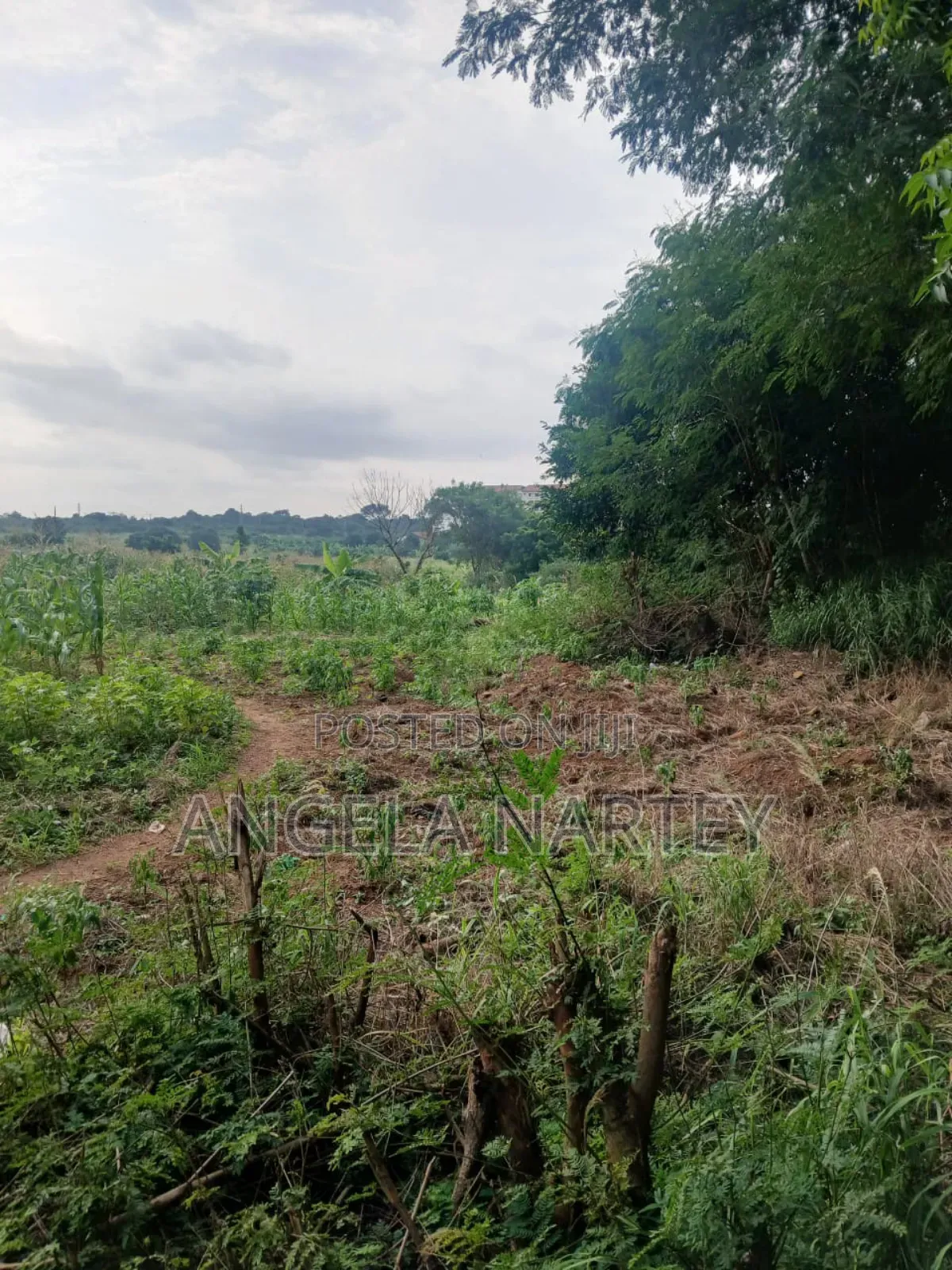 100 Acre Land Close to Legon for Sale