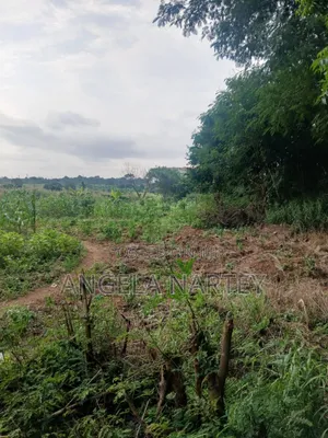 100 Acre Land Close to Legon for Sale