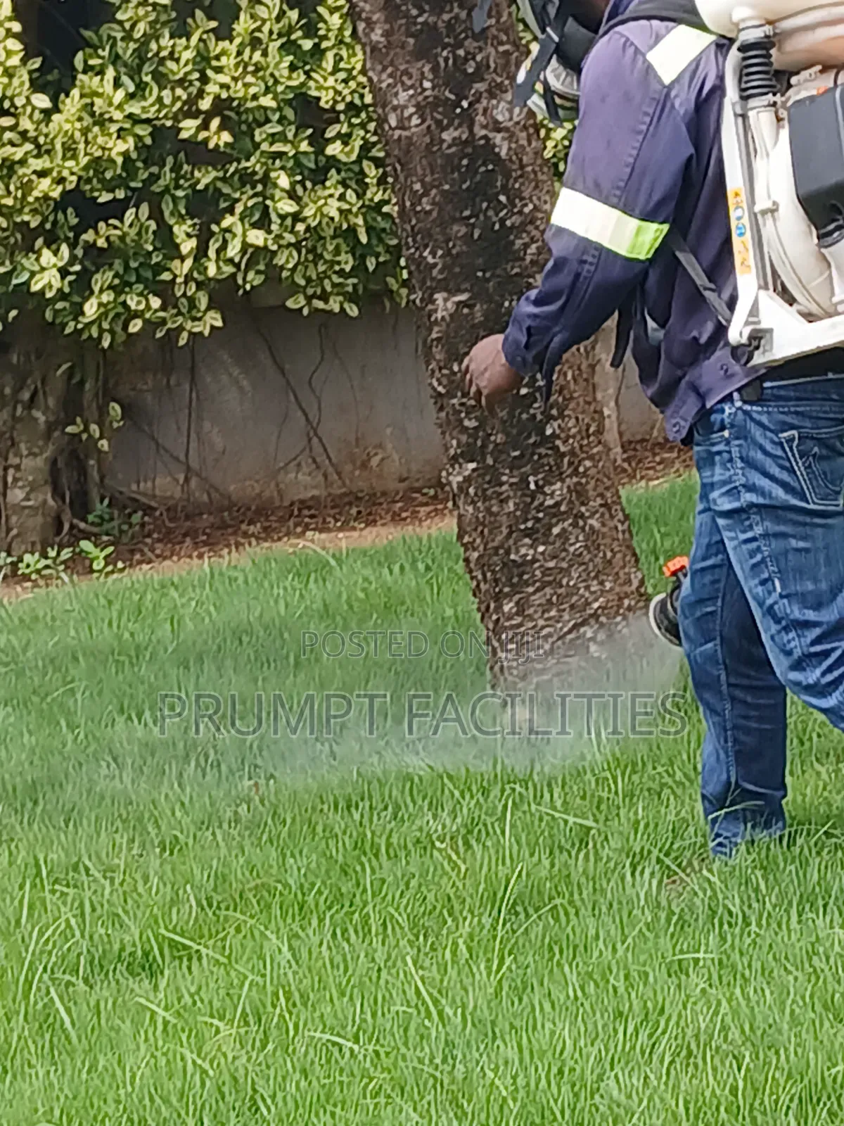 Fumigation and More